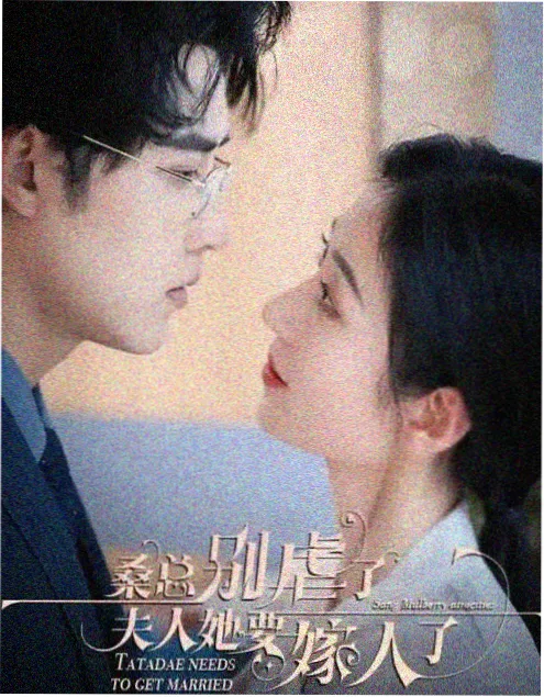 《第九号档案》剧集解说封面